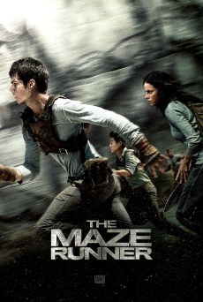 maze_runner_ver13_xlg